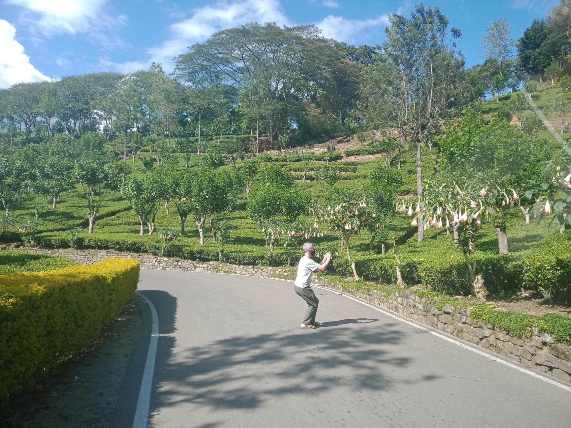Princess Of Dickoya Homestay Hatton Bilik gambar