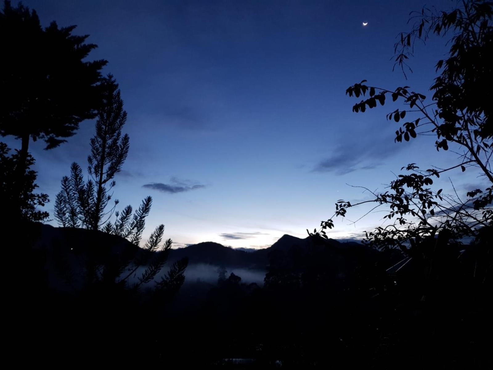 Princess Of Dickoya Homestay Hatton Bilik gambar